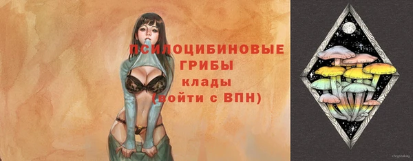 круглые Белокуриха