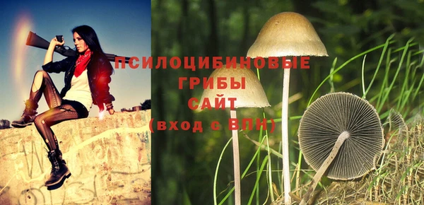 круглые Белокуриха